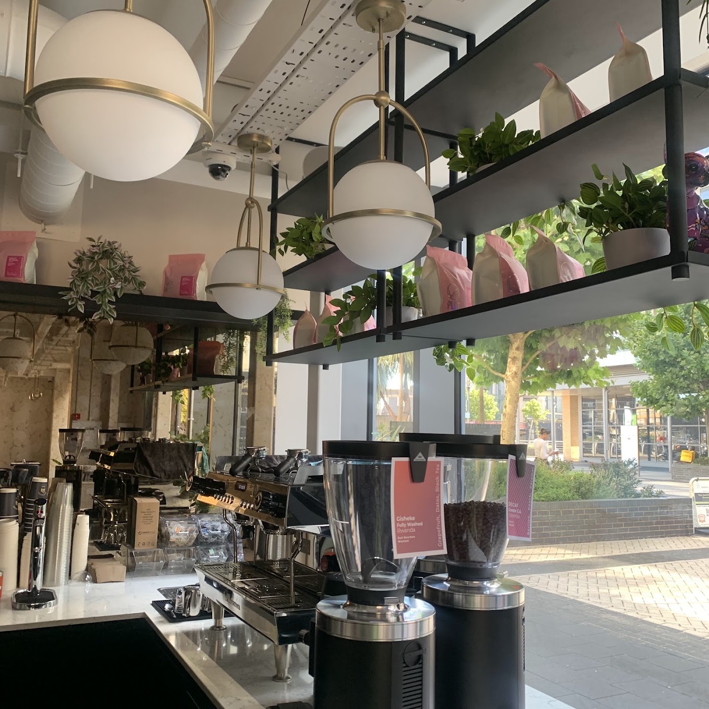 The Greenwich Nest