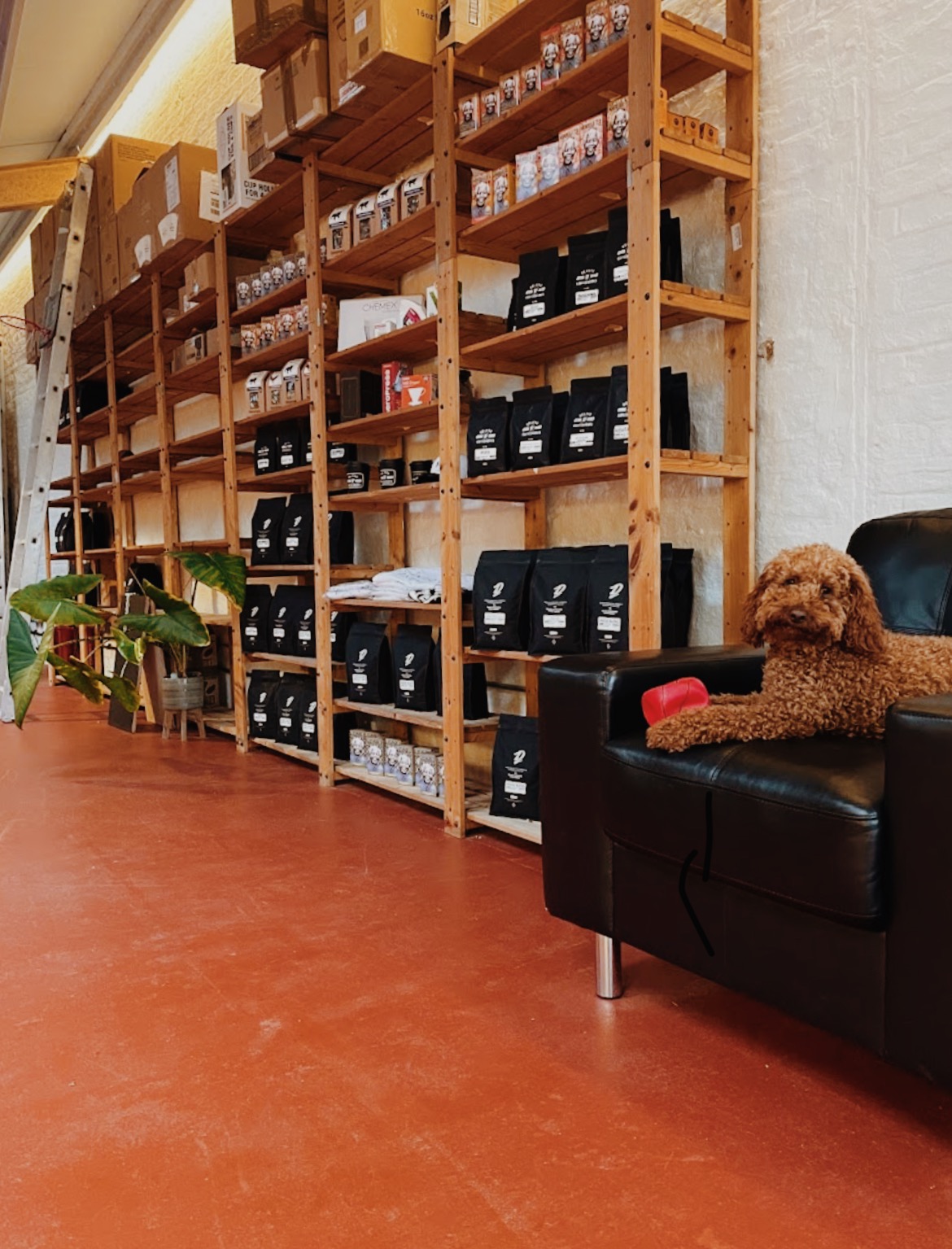 Deluxe Coffeeworks Roastery & Espresso bar